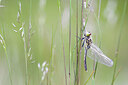 BUITEN BEELD Foto: 436504