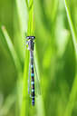 BUITEN BEELD Foto: 436508