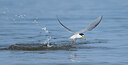 BUITEN BEELD Foto: 436515