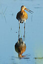 BUITEN BEELD Foto: 436526