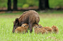 BUITEN BEELD Foto: 436542