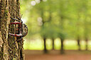 BUITEN BEELD Foto: 436546