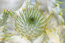 BUITEN BEELD Foto: 436552