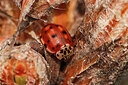 BUITEN BEELD Foto: 436554
