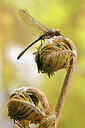 BUITEN BEELD Foto: 436563