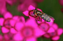 BUITEN BEELD Foto: 436578