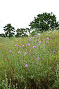 BUITEN BEELD Foto: 436592