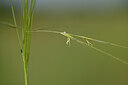 BUITEN BEELD Foto: 436595