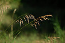 BUITEN BEELD Foto: 436600