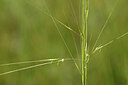 BUITEN BEELD Foto: 436609