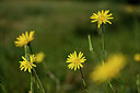 BUITEN BEELD Foto: 436612