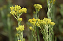 BUITEN BEELD Foto: 436613