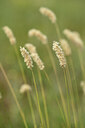BUITEN BEELD Foto: 436618