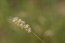 BUITEN BEELD Foto: 436621