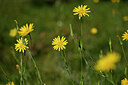 BUITEN BEELD Foto: 436624