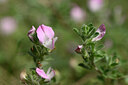 BUITEN BEELD Foto: 436627