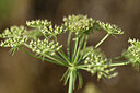 BUITEN BEELD Foto: 436641