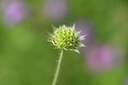 BUITEN BEELD Foto: 436646