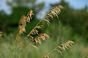 BUITEN BEELD Foto: 436649