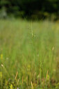 BUITEN BEELD Foto: 436656