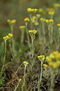 BUITEN BEELD Foto: 436658