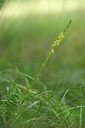 BUITEN BEELD Foto: 436659