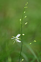 BUITEN BEELD Foto: 436662