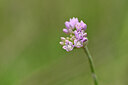 BUITEN BEELD Foto: 436664