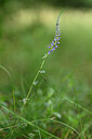 BUITEN BEELD Foto: 436667