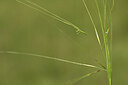 BUITEN BEELD Foto: 436673