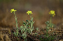 BUITEN BEELD Foto: 436675