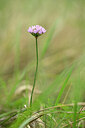 BUITEN BEELD Foto: 436686