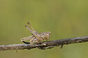 BUITEN BEELD Foto: 436693