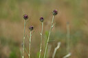 BUITEN BEELD Foto: 436695