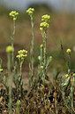 BUITEN BEELD Foto: 436696
