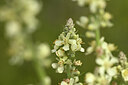 BUITEN BEELD Foto: 436697