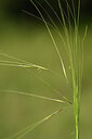 BUITEN BEELD Foto: 436698