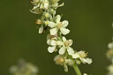 BUITEN BEELD Foto: 436700