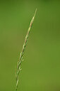 BUITEN BEELD Foto: 436702