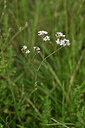 BUITEN BEELD Foto: 436703
