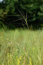 BUITEN BEELD Foto: 436706
