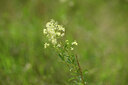 BUITEN BEELD Foto: 436709