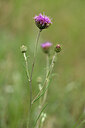 BUITEN BEELD Foto: 436714