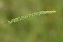 BUITEN BEELD Foto: 436717