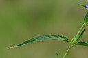 BUITEN BEELD Foto: 436718