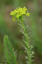 BUITEN BEELD Foto: 436719