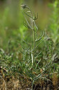 BUITEN BEELD Foto: 436723