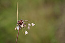 BUITEN BEELD Foto: 436726