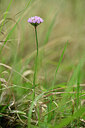 BUITEN BEELD Foto: 436727