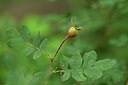 BUITEN BEELD Foto: 436731